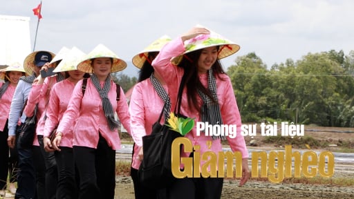 Ấp đảo ẩn mình trong rừng ngập mặn vươn lên thoát nghèo nhờ làm du lịch cộng đồng