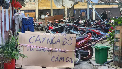 Cây gòn cổ thụ bật gốc sau giông lốc, uy hiếp hàng chục hộ dân Thanh Đa