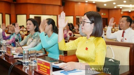 TP.HCM: “Không để cơ quan nhà nước thành nơi trú ngụ an toàn cho người yếu kém”