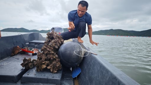 Vừa được giao mặt nước biển để nuôi trồng thủy sản, người nuôi biển Quảng Ninh lại lo vì mức tiền thuê quá cao 