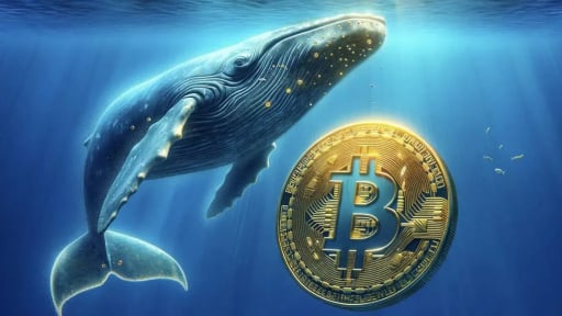 Chuyên gia dự báo bất ngờ về giá Bitcoin khi các 'Cá voi' chốt lời mạnh