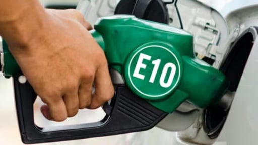 Loại ô tô, xe máy nào có thể sử dụng xăng E10?
