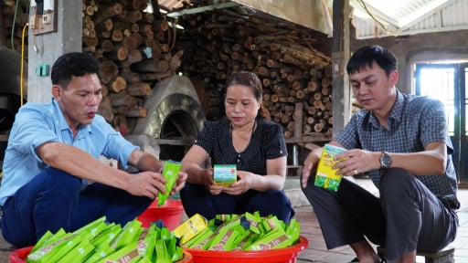 Xã Phú Thịnh ở tỉnh Thái Nguyên, gắn sản phẩm đạt sao OCOP với mục tiêu xây dựng nông thôn mới nâng cao