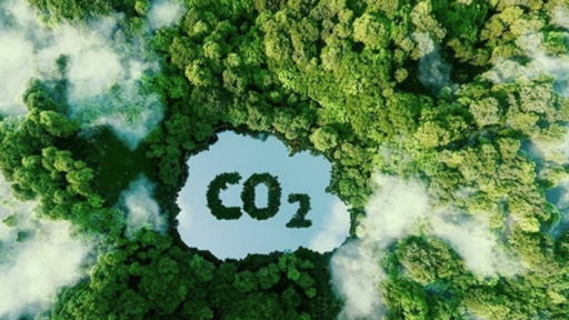 Thị trường tín chỉ carbon: Giá thế giới cao nhất gần 100 USD