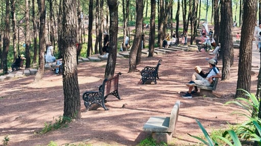Có người ví dân Huế 'quá sung sướng' khi đang được sống mát mẻ trong một “resort khổng lồ”