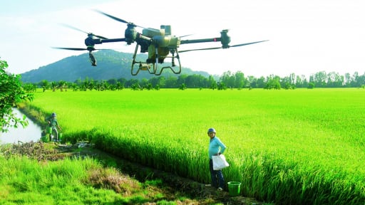 Trên cánh đồng An Giang, máy bay không người lái bay vù vù phun thuốc, nông dân chỉ việc đứng xem
