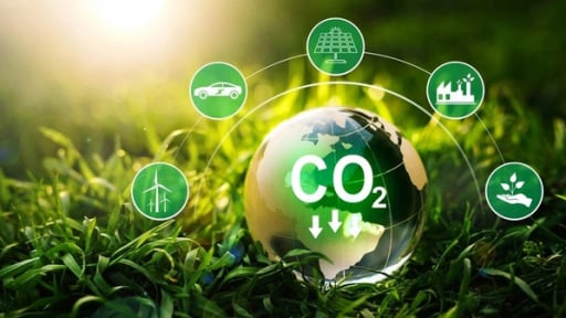 Thị trường tín chỉ carbon: Thí điểm 6 tỉnh Bắc Trung Bộ, thu về 51,5 triệu USD