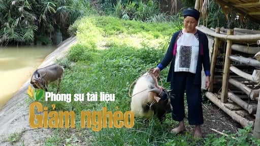Tín dụng chính sách – Đòn bẩy giúp người dân Lào Cai giảm nghèo bền vững