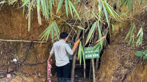 Tỉnh Lâm Đồng mới có một mỏ vàng trong núi sau sáp nhập Đắk Nông, ngành chức năng đang xử lý việc đào đãi trái phép