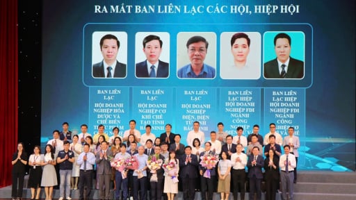 Tỉnh Bắc Ninh kỳ vọng tăng thêm 50.000 doanh nghiệp tư nhân, có 15 tập đoàn nằm trong top 500 doanh nghiệp lớn 
