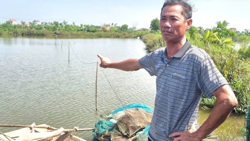 Ninh Bình: Hàng trăm hộ dân Kim Đông 'trắng tay' sau bão Wipha, thiệt hại hơn 18 tỷ đồng