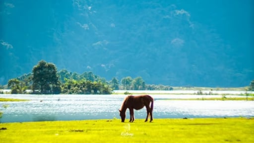 Hồ nước ngọt view hot trên một thảo nguyên đẹp mê tơi, bất ngờ 'hiện ra' ở tỉnh Lạng Sơn, cách Hà Nội gần thôi