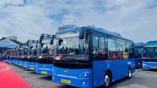 TP.HCM vận hành thêm 35 tuyến buýt trợ giá, một nửa dùng năng lượng sạch