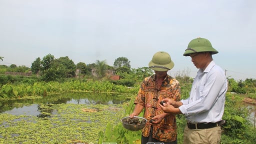 2 con đặc sản này là vật nuôi làm nên sự khác biệt nổi trội của một HTX ở tỉnh Hưng Yên mới, sau sáp nhập tỉnh Thái Bình