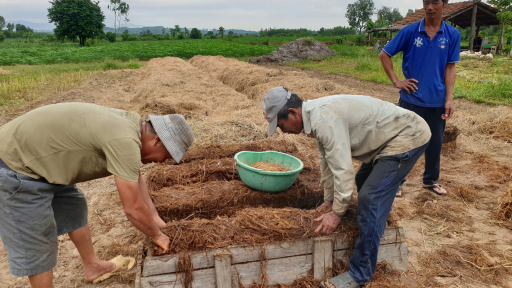Chất thứ này ngoài đồng, dân Đắk Lắk 'gặt' loại rau ăn bổ dưỡng, bán hút hàng
