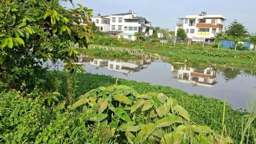 Mưa lớn vào đêm 5/8, cầu dân sinh trên rạch Ông Bố, TP.HCM bị nước cuốn trôi