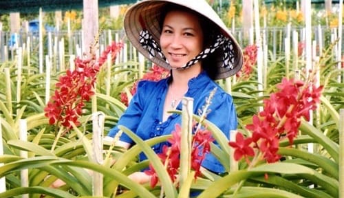 Tượng đài nông dân xóa nghèo trên đất thép Củ Chi (Bài cuối): Tiên phong xây dựng lớp nông dân mới