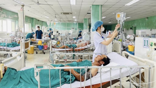 2 cha con ở Quảng Ngãi cùng đi cấp cứu vì ăn mắm cá chua tự làm