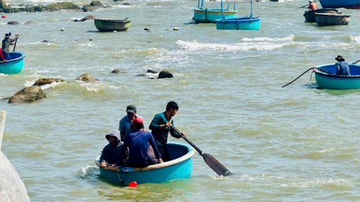 Gió gì đang thổi khiến dân biển tỉnh Lâm Đồng bắt hải sản ngon, bán giá tốt sau sáp nhập Bình Thuận