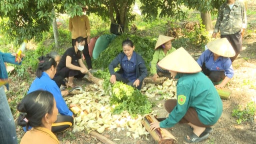 Nông dân vùng cao Thái Nguyên thoát nghèo, khá giả nhờ làm nông nghiệp tuần hoàn
