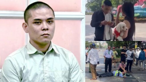 Thanh niên dắt chó đánh bảo vệ ở TP.HCM được trả tự do tại tòa: Quy định thế nào về đình chỉ vụ án?