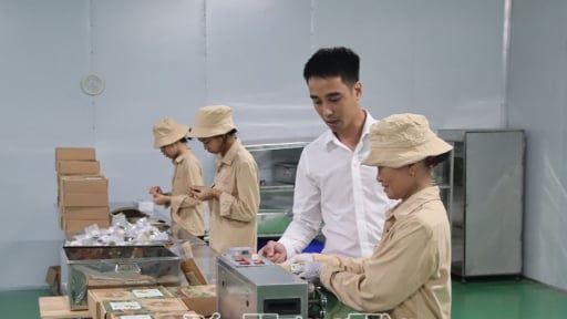 Ở phường Trà Lý, tỉnh Hưng Yên (mới) có một anh thôi nghề làm báo về làm nghề nông 4.0