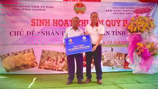 Từ nông dân khai hoang đến Chủ tịch hợp tác xã, Chi hội trưởng Chi hội Nông dân tỷ phú ở TPHCM