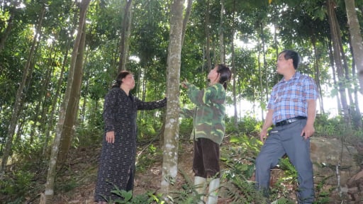 Nông thôn Tây Bắc: Nhiều cách làm sáng tạo trong xây dựng nông thôn mới ở Lào Cai