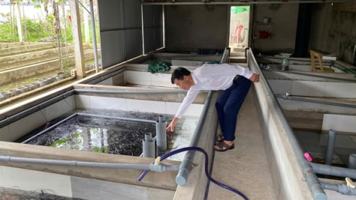 Nuôi con đặc sản bình dân kiểu lạ, một nông dân Nghệ An phát tài hẳn lên