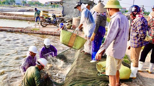 Tỉnh Hưng Yên (mới) có xã Đông Thụy Anh, dân đang giàu có lên bởi kinh tế biển, có dự án khu công nghiệp VSIP Thái Bình