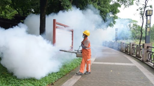 Phó Cục trưởng Cục Phòng bệnh: Chikungunya đang lây lan toàn cầu từng được ghi nhận cách đây hơn 70 năm