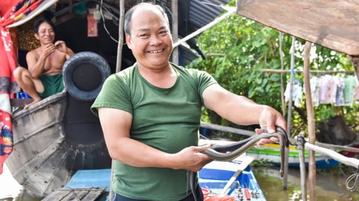Sản vật, đặc sản mùa nước nổi miền Tây ở An Giang, cá linh non, rắn đồng, bông súng ma, có cả loài 'gà đồng biết lặn'