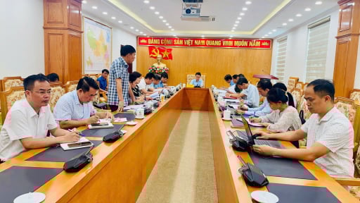 Nông thôn Tây Bắc: Lai Châu họp Ban chỉ đạo bàn giải pháp dập dịch tả lợn Châu Phi
