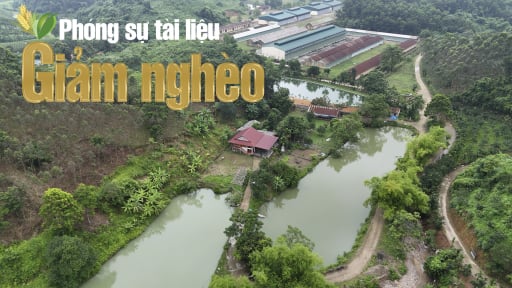 Thoát nghèo bằng nội lực – Làm giàu bằng tư duy: Bài học từ người nông dân ở Mỹ Lâm, Tuyên Quang