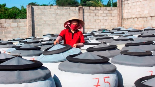 Đây là loại sản vật Phan Thiết của tỉnh Lâm Đồng (mới) đã tự tin 'bước ra chợ thế giới'