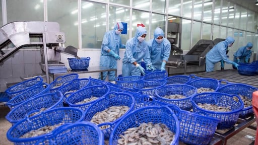 Mỹ áp thuế đối ứng 20%: Ngành hàng rau quả, thủy sản lo thất thế cạnh tranh, nguy cơ bị loại khỏi thị trường