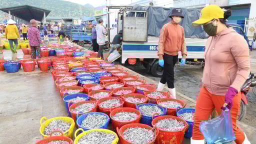 Biển Cà Ná ở phía Nam tỉnh Khánh Hòa, trên trời, dưới cá, người lạ đi một vòng, tha hồ thích