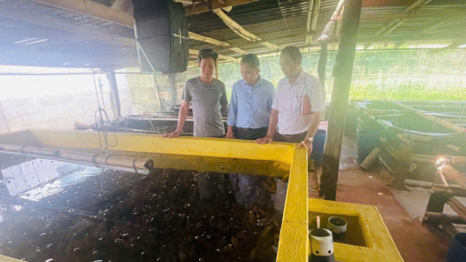 Chỉ nuôi 2 con đặc sản 'tối ngày nghịch nước' này mà một ông nông dân TPHCM (mới) 'ẵm về' hơn 3 tỷ/năm
