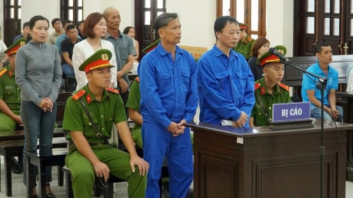 Giám đốc Công ty Long Thái Việt - 'trùm' khai thác khoáng sản lậu lĩnh 4 năm 6 tháng tù