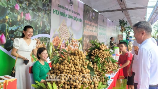 Xã Tân Hưng, tỉnh Hưng Yên đang có 20 gian hàng trưng bày, giới thiệu đặc sản là loại quả ngon ngọt này