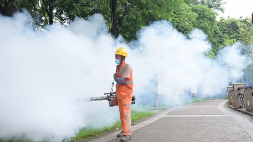 Trung Quốc khống chế virus Chikungunya