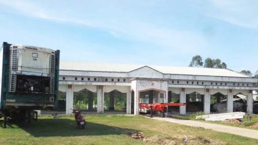 Chợ nông thôn bỏ hoang ở tỉnh Gia Lai, trách nhiệm thuộc về chính quyền địa phương