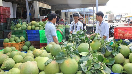 Xã Dầu Giây của tỉnh Đồng Nai mới, có 2.800 cơ sở kinh doanh, 7 chợ lớn, 1 chợ đầu mối, 1 khu công nghiệp rộng 328ha