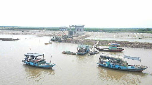 Tỉnh Ninh Bình (sau sáp nhập) đang hành động quyết liệt gỡ 'thẻ vàng' IUU 