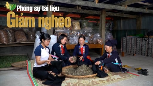 Phát huy vai trò của Mặt trận tổ quốc và các tổ chức chính trị trong công cuộc xóa đói giảm nghèo ở xã phú lương