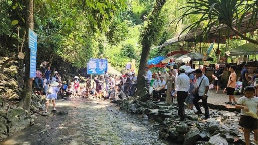 Tiết trời oi ả, lên vùng rừng này ở Thanh Hóa thấy đàn cá lạ khổng lồ bơi lộ cả lưng