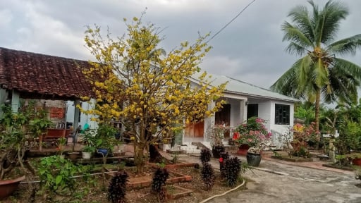 Bài dự thi 'Việt Nam trong tôi': Việt Nam tôi, máu và hoa