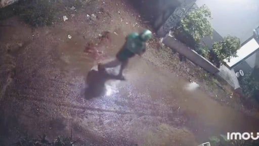 Khoảnh khắc nghi phạm cầm dao cắt cổ tài xế xe ôm công nghệ được camera an ninh nhà dân ghi lại