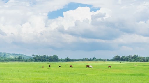 Đây là lý do khiến người ta đang lên hồ thủy điện lớn nhất tỉnh Đồng Nai, tha hồ chụp ảnh, vui chơi