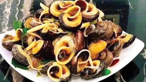 Loài ốc kỳ lạ này ở Cao Bằng dân vô rừng, lên núi bắt về bán 90.000 đồng/kg, ăn như uống thuốc bổ